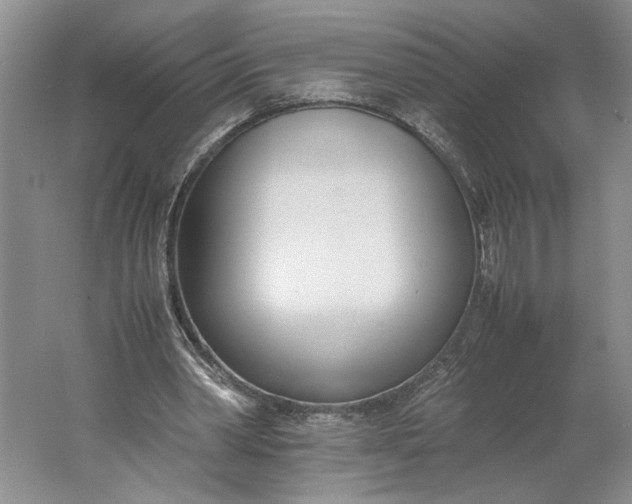 X0000061720390200512161601