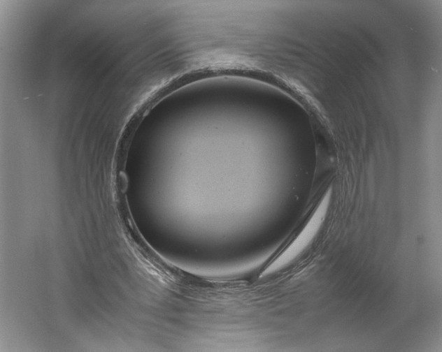 X0000061720391200512161601