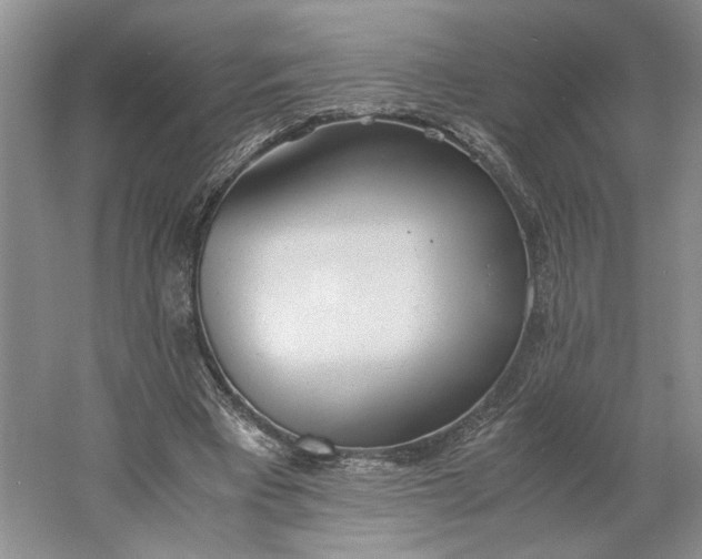 X0000061720393200512161601