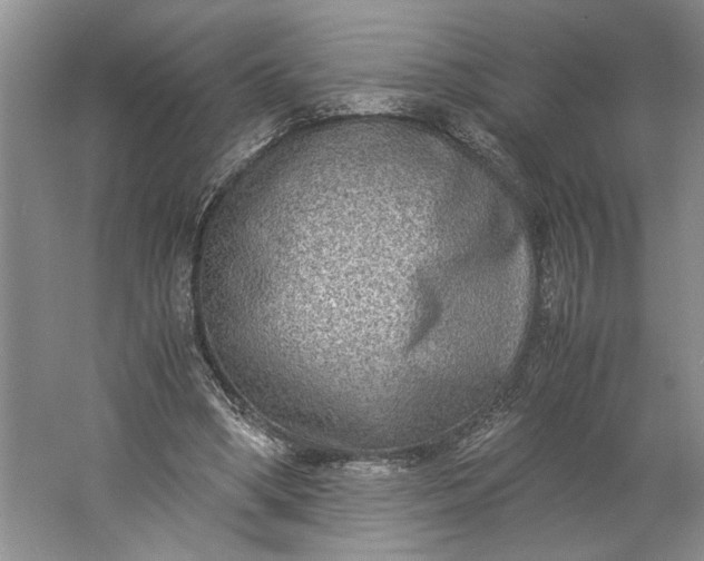 X0000061720394200512161601