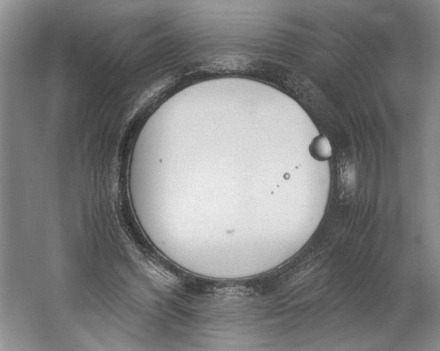 X0000061720396200512161601