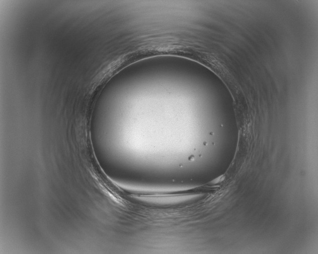 X0000061720397200512161601