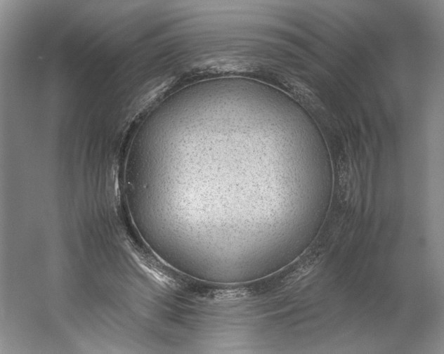 X0000061720398200512161601