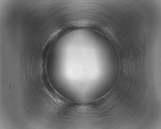 X0000061720400200512161601