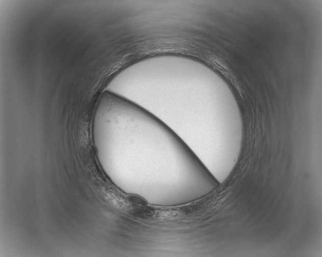 X0000061720401200512161601