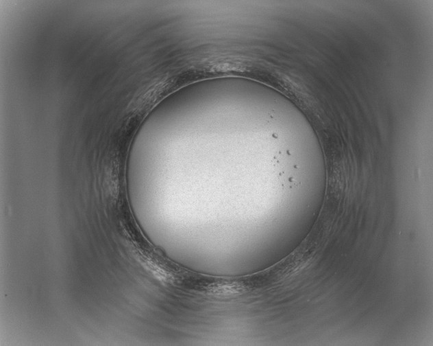 X0000061720402200512161601