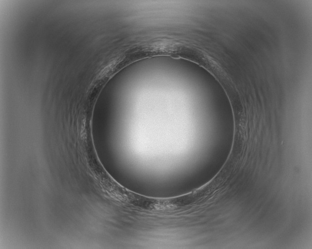 X0000061720403200512161601