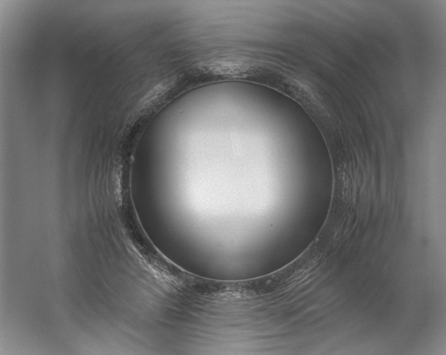 X0000061720404200512161601