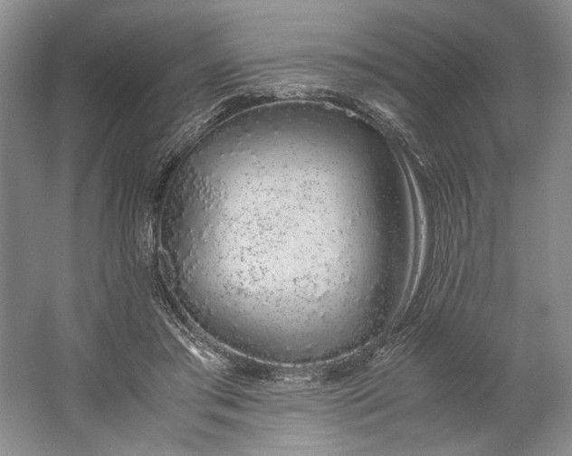 X0000061720405200512161601