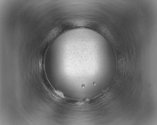 X0000061720406200512161600