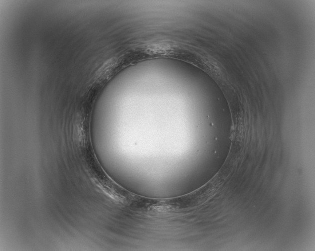 X0000061720408200512161600