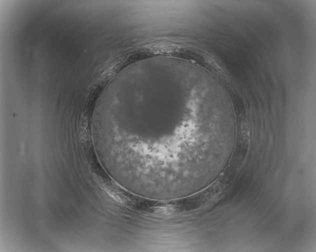 X0000061720411200512161600