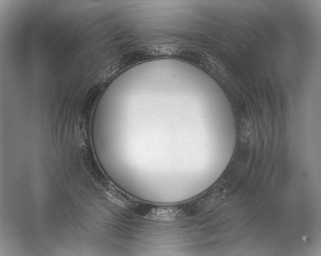 X0000061720414200512161600