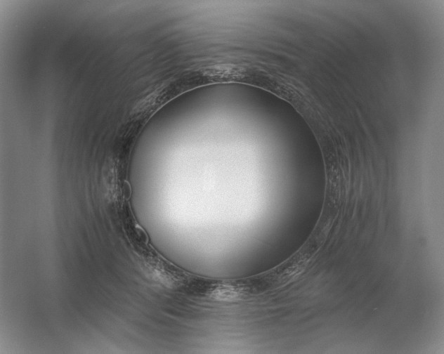 X0000061720416200512161600