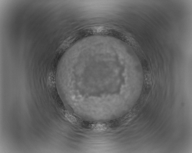 X0000061720419200512161600