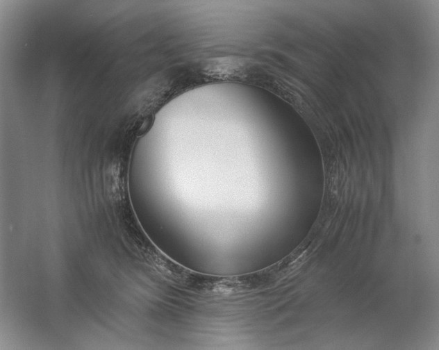 X0000061720420200512161600