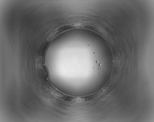 X0000061720421200512161600