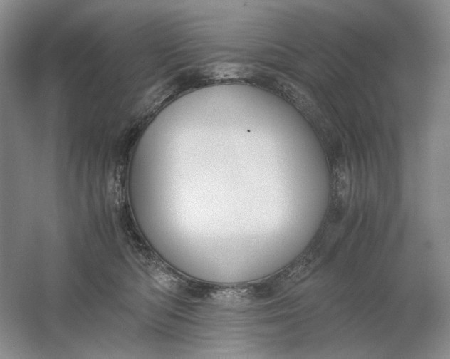 X0000061720422200512161600