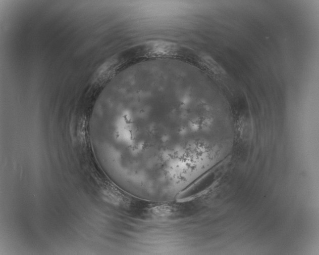 X0000061720423200512161600