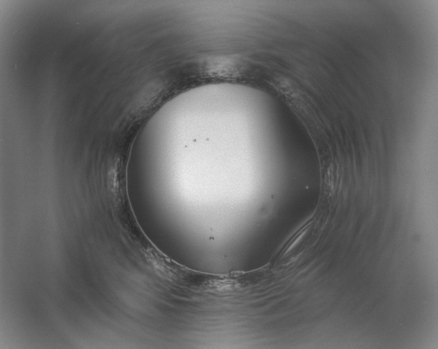 X0000061720424200512161600