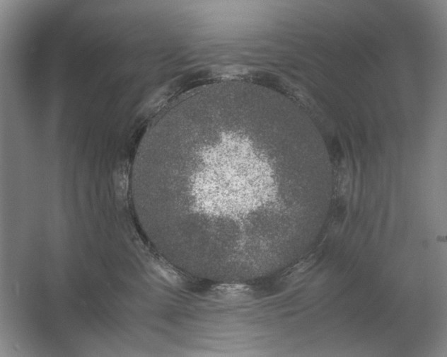 X0000061720427200512161600