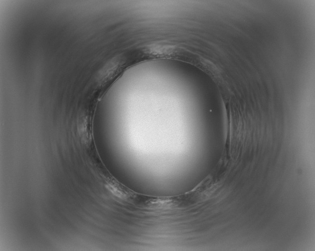 X0000061720428200512161600