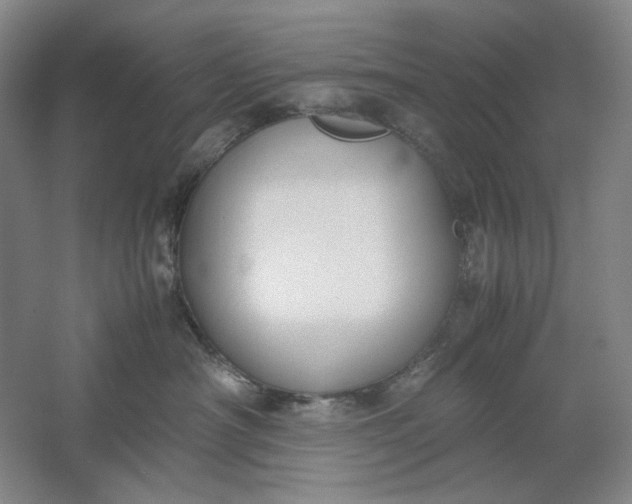 X0000061720430200512161600