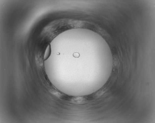 X0000061720431200512161600