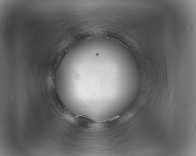 X0000061720432200512161600