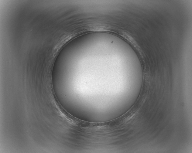 X0000061720433200512161559