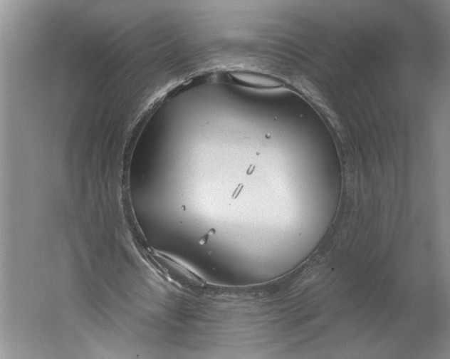 X0000061720434200512161559