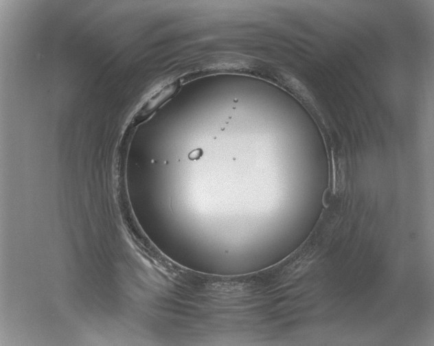 X0000061720435200512161559