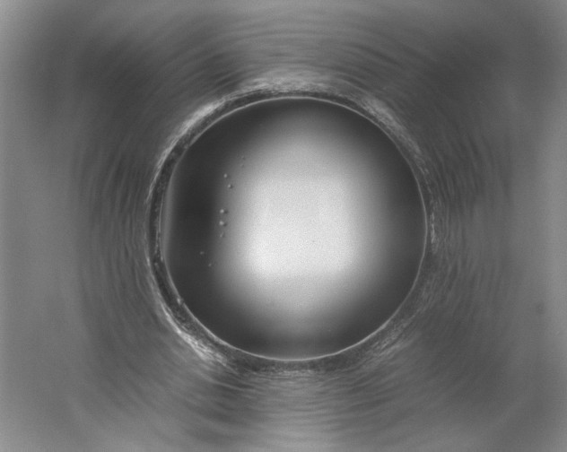 X0000061720438200512161559