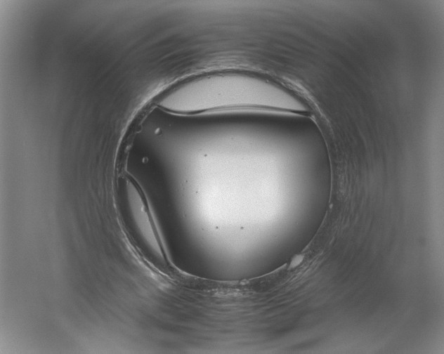 X0000061720439200512161559