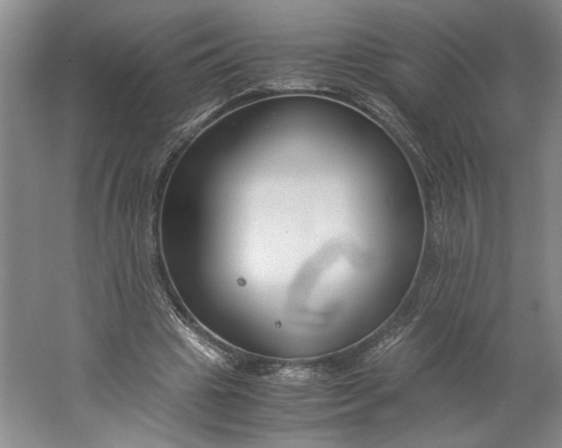 X0000061720441200512161559