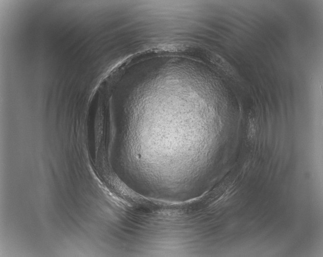 X0000061720444200512161559