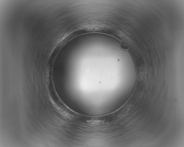 X0000061720448200512161559