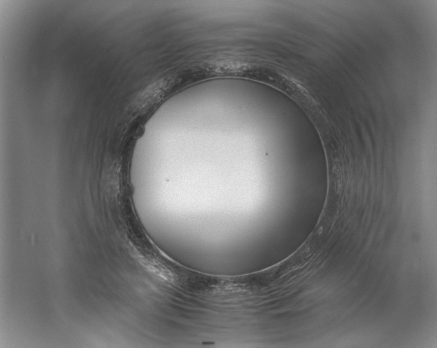 X0000061720451200512161600