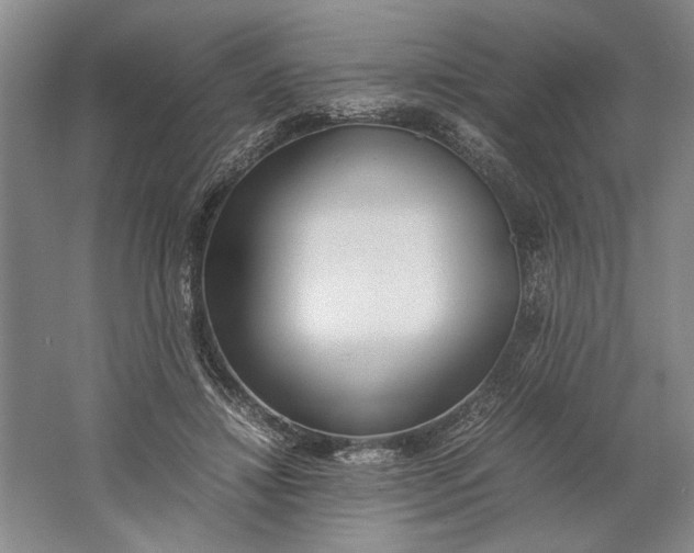 X0000061720452200512161600