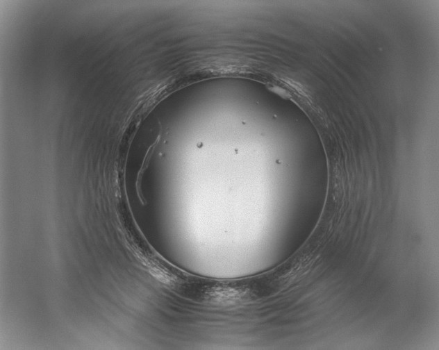 X0000061720453200512161600