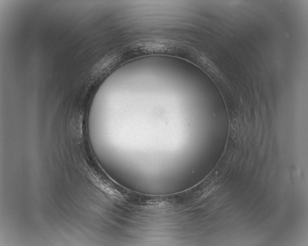 X0000061720454200512161600