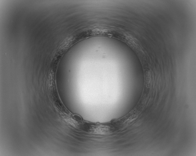 X0000061720463200512161600