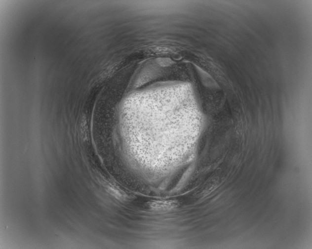 X0000061720465200512161600