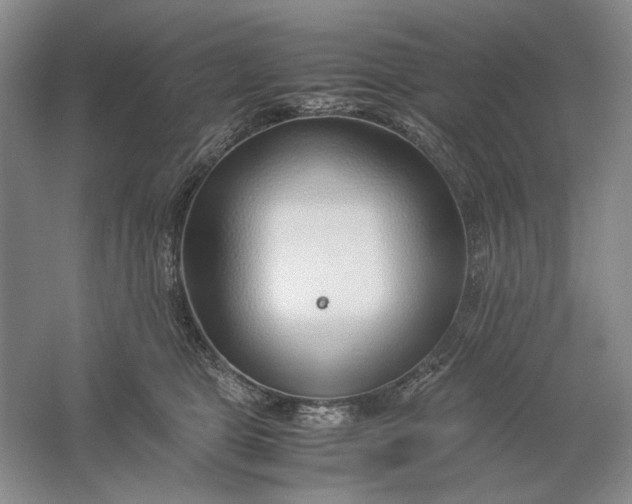 X0000061720469200512161600