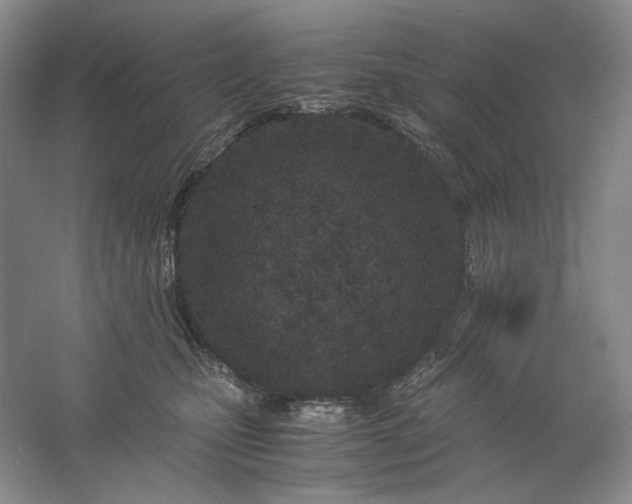 X0000061720471200512161600