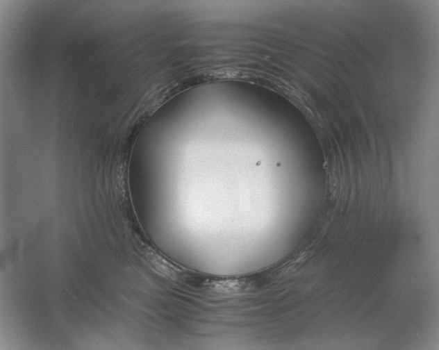 X0000061720473200512161600