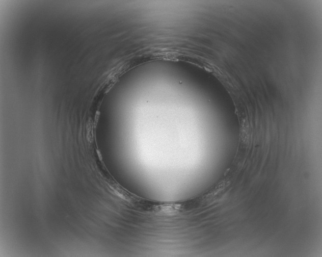 X0000061720474200512161600