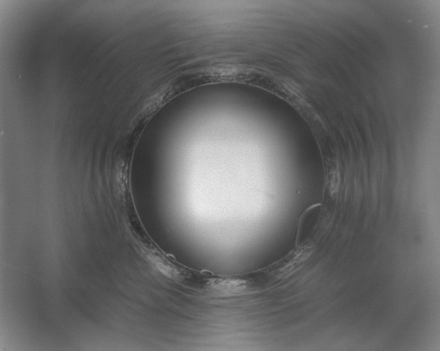 X0000061720476200512161600