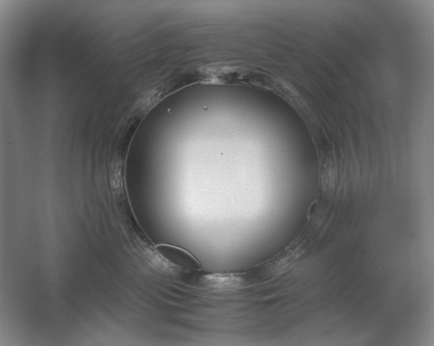 X0000061720477200512161600