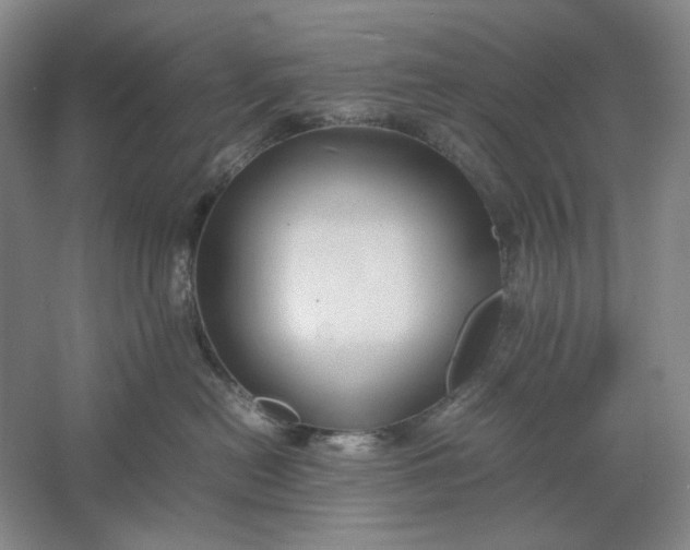 X0000061720478200512161600